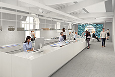 Pala?a Cedulin - TIC